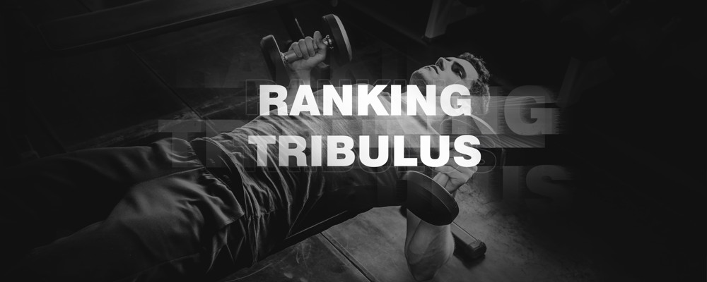 Tribulus Terrestris (buzdyganek naziemny) – Ranking 2019
